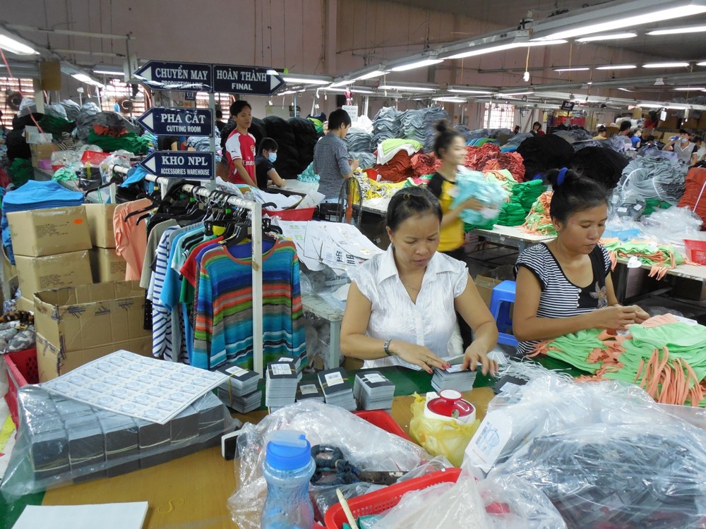 Vietnam Garment Industry Expert